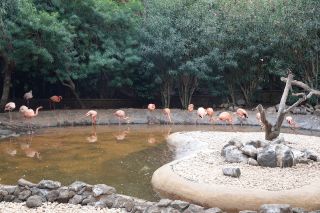 GC-Plalmitos Park 2019-167.JPG